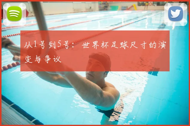 从1号到5号:世界杯足球尺寸的演变与争议