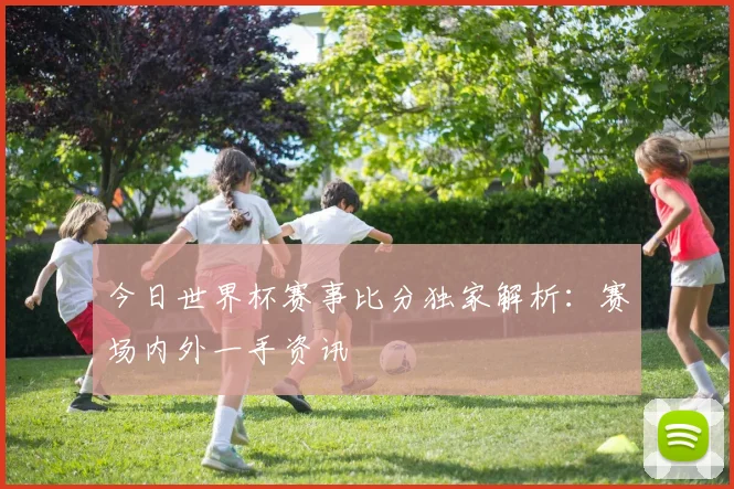 今日世界杯赛事比分独家解析:赛场内外一手资讯