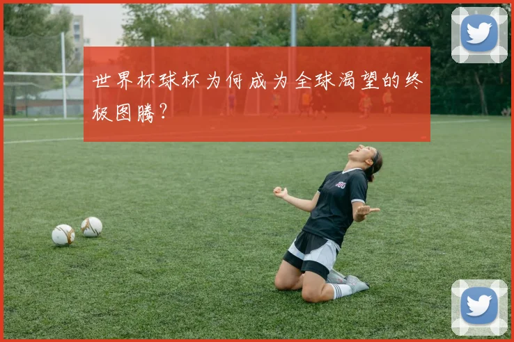 世界杯球杯为何成为全球渴望的终极图腾?