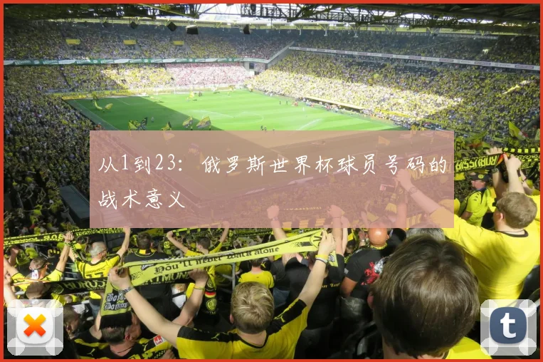 从1到23:俄罗斯世界杯球员号码的战术意义