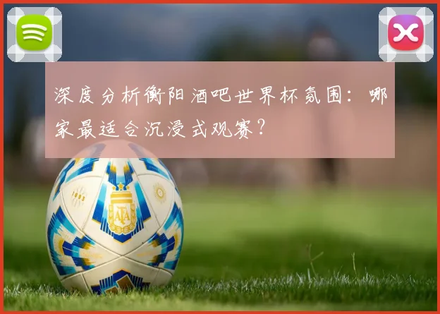 深度分析衡阳酒吧世界杯氛围：哪家最适合沉浸式观赛？