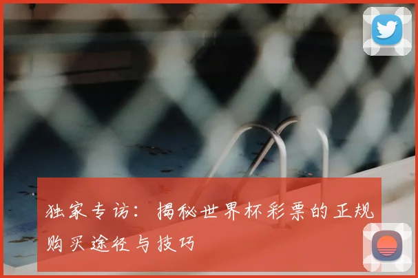 独家专访:揭秘世界杯彩票的正规购买途径与技巧