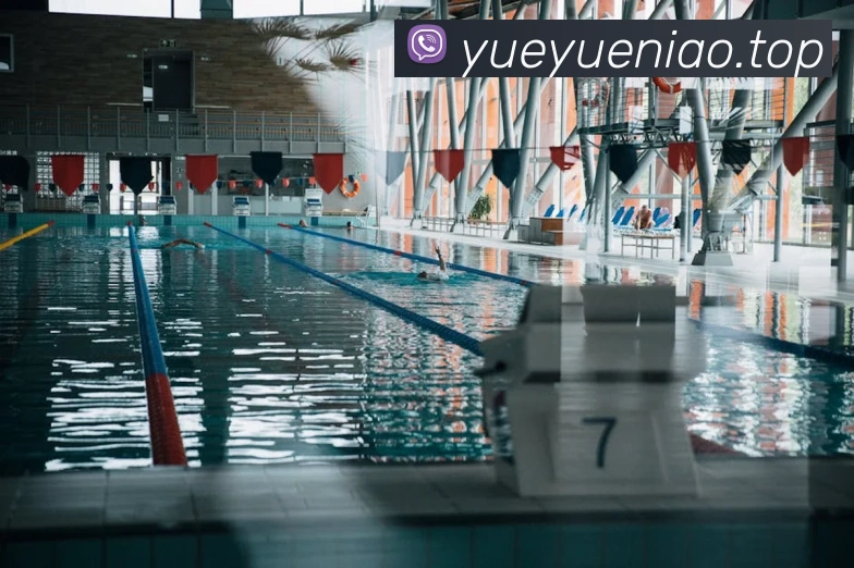 多媒体互动体验