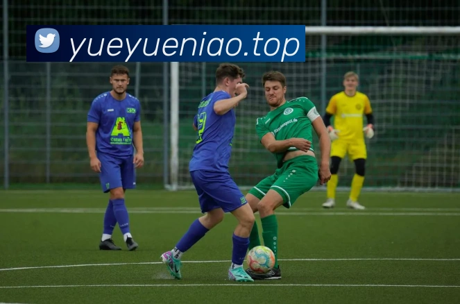 beat365最新官网地址APP 高清赛事图